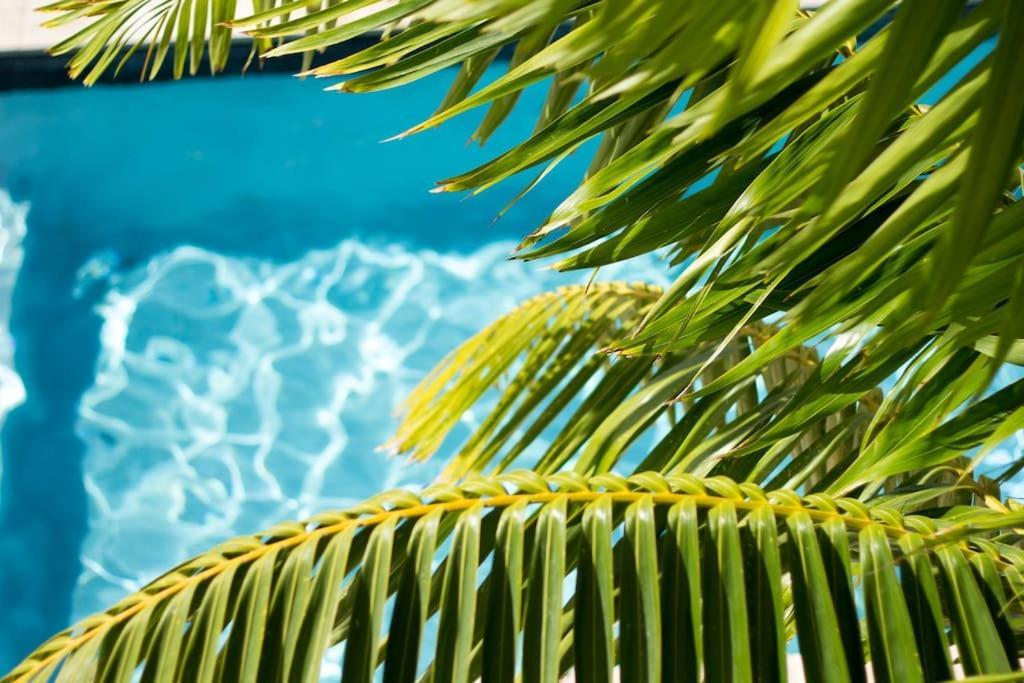 Goudhaen Luxury Private Apartments Jan Thiel Beach Luaran gambar